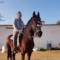 Sina, 31